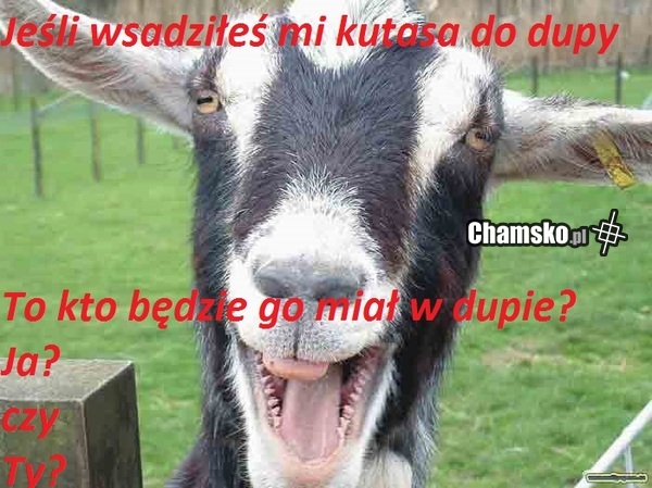 Ja czy Ty?