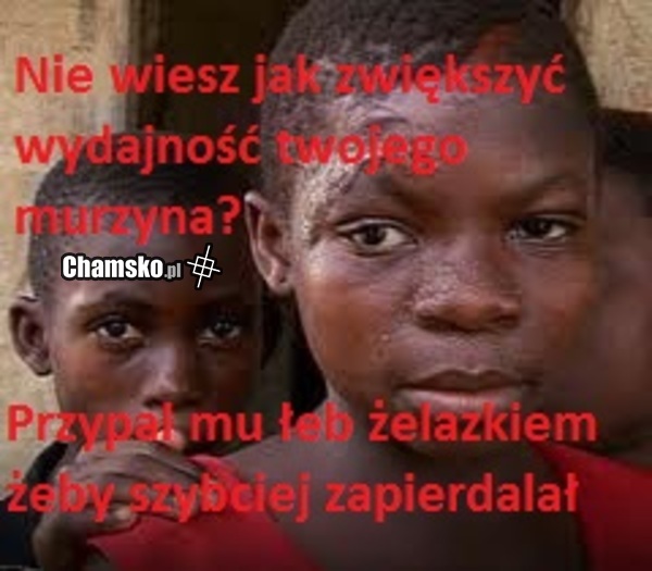 efektywność