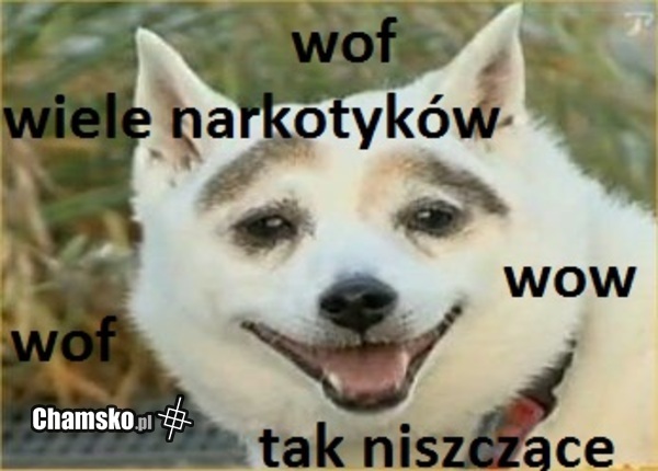 wof