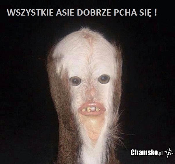 asie