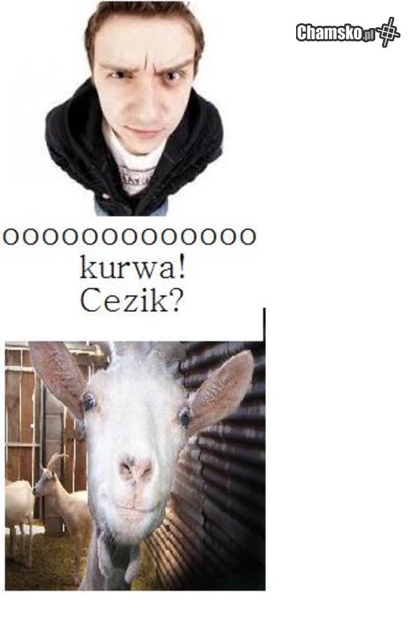 Cezik?co to za pedał!
