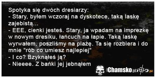 dresiarz