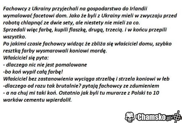 polacy :D