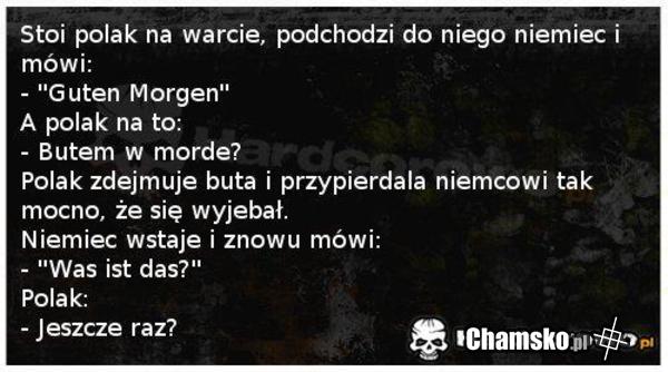 niemeic i polak