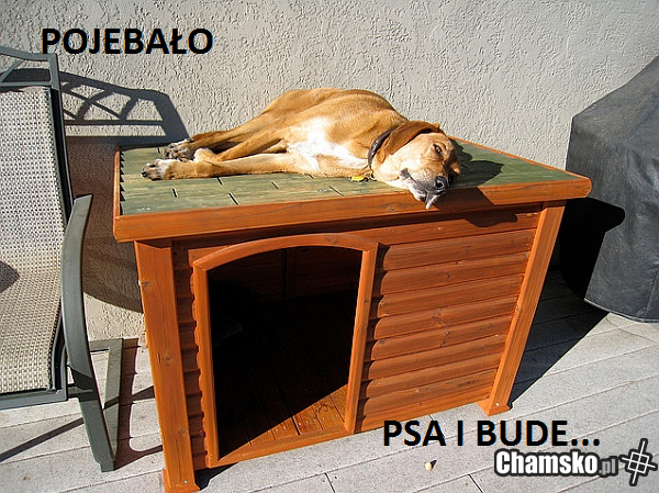 Pojebało