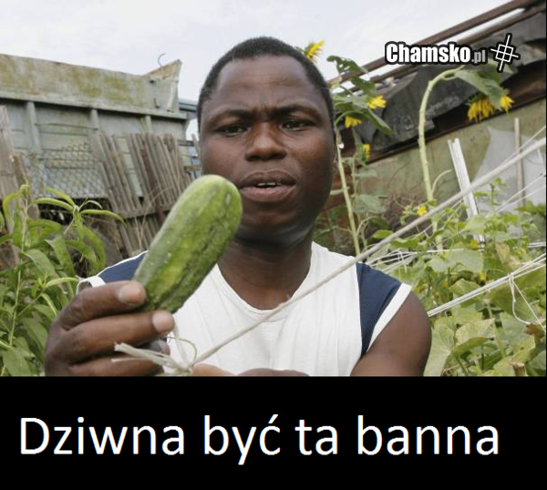 Sąsiad właśnie kupił ;)