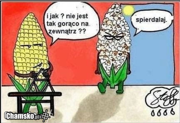 Kukurydza