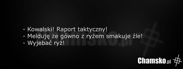 Pingwiny z Madagaskaru