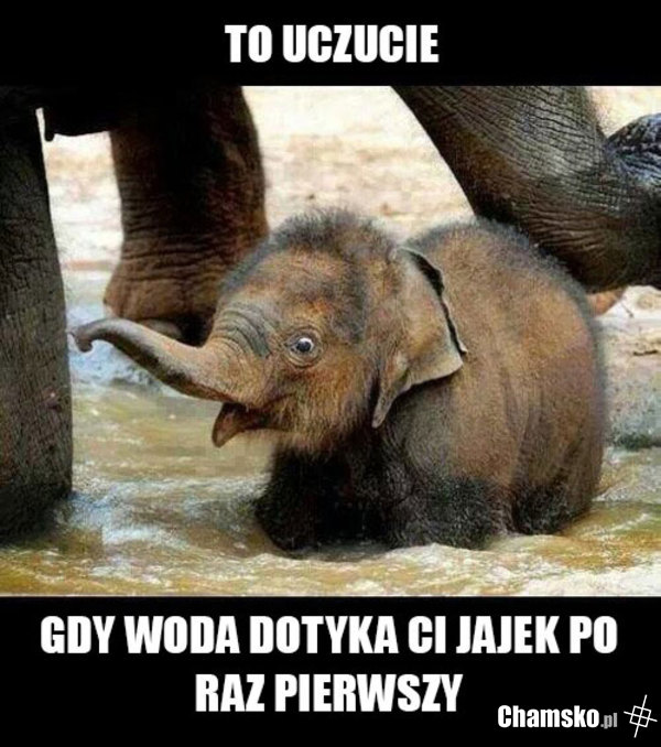 Faceci zrozumieją... ; )