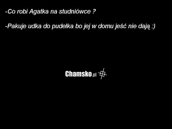 Agatka