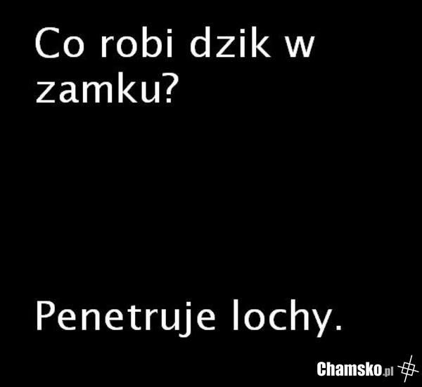 Zagadka