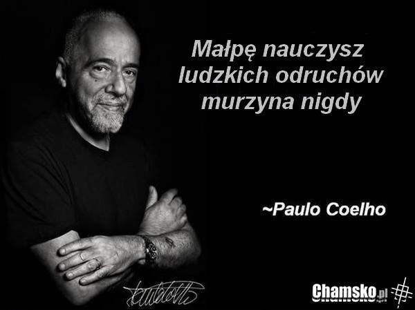 Dzikusy