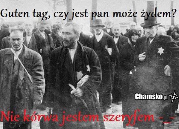 Szeryf