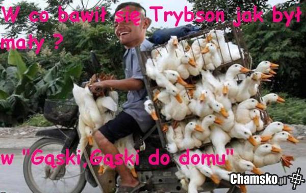Trybson