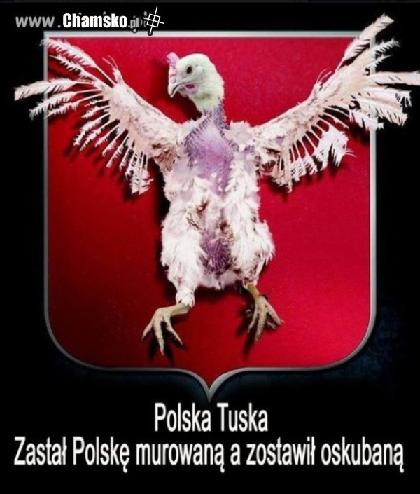 tusk