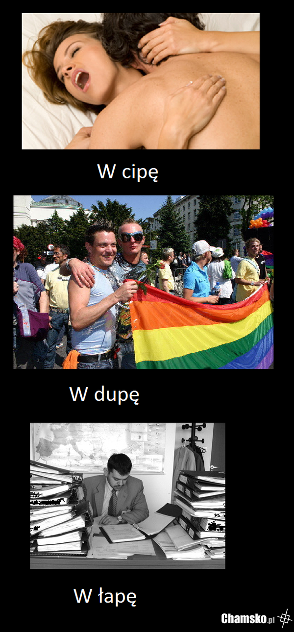 Co kto lubi