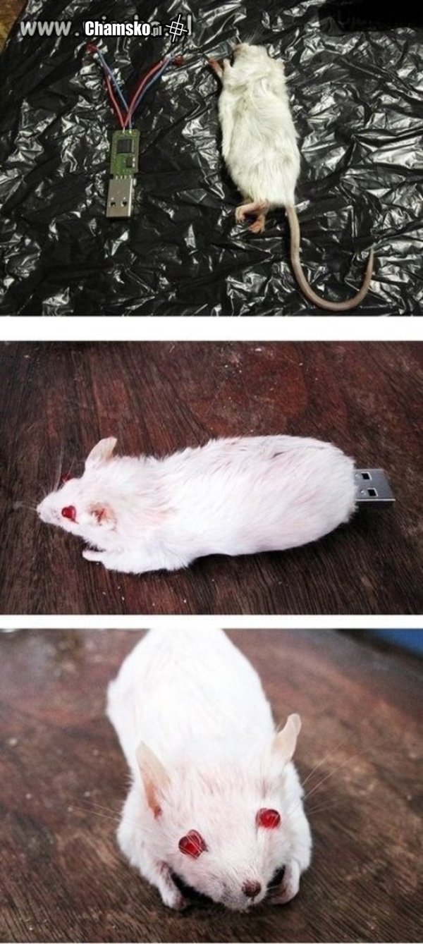 Fajny pendrive