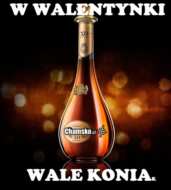 Koniak