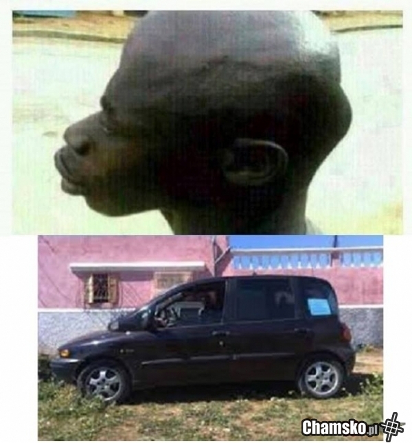 Inspiracja dla multipli