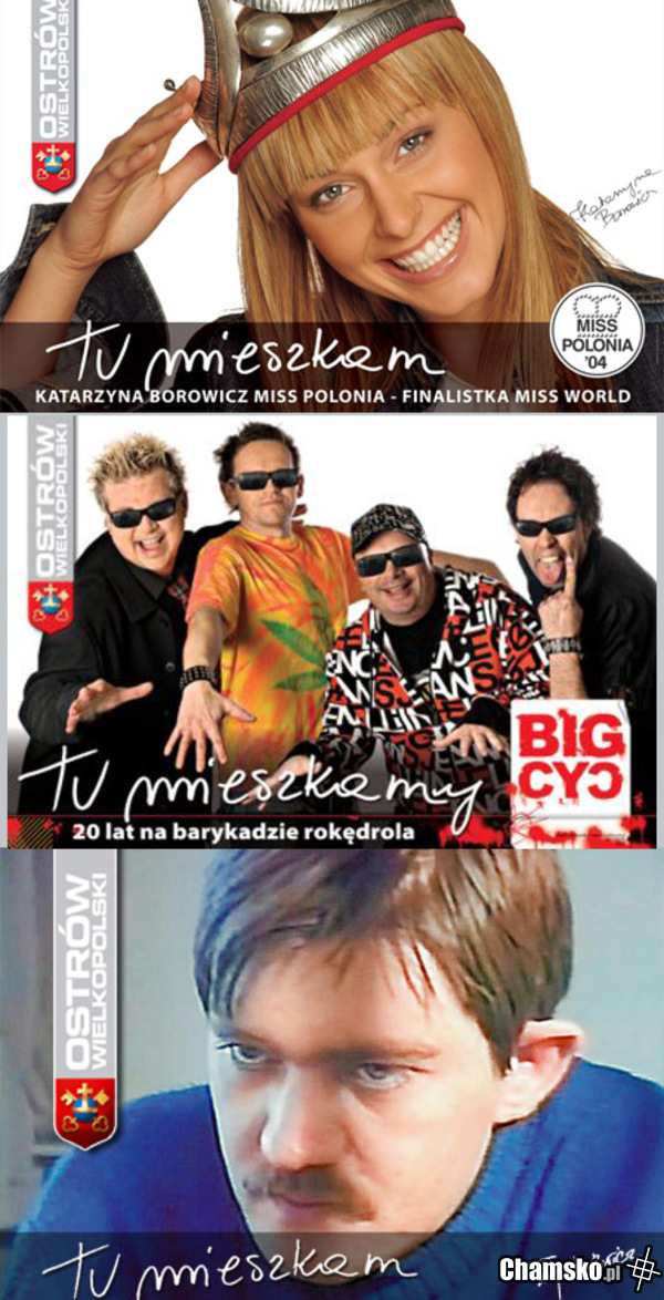 Tu mieszkam! Trynkiewicz
