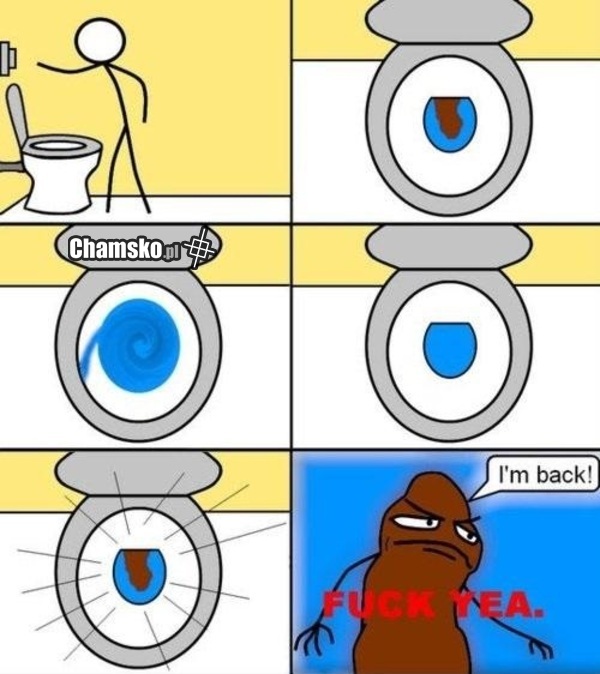 Wróciłem