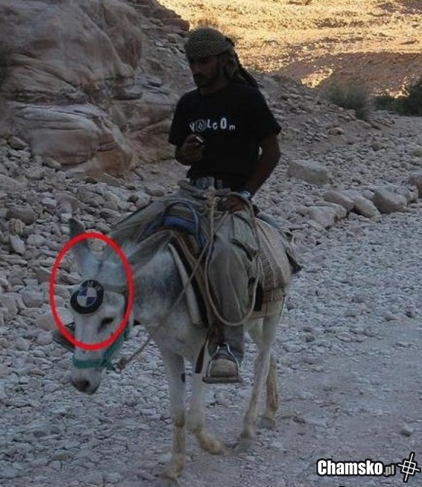 Afrykańskie BMW