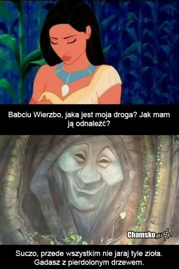 Pocahontas i jej problemy