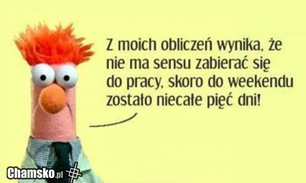 Po co pracować...?