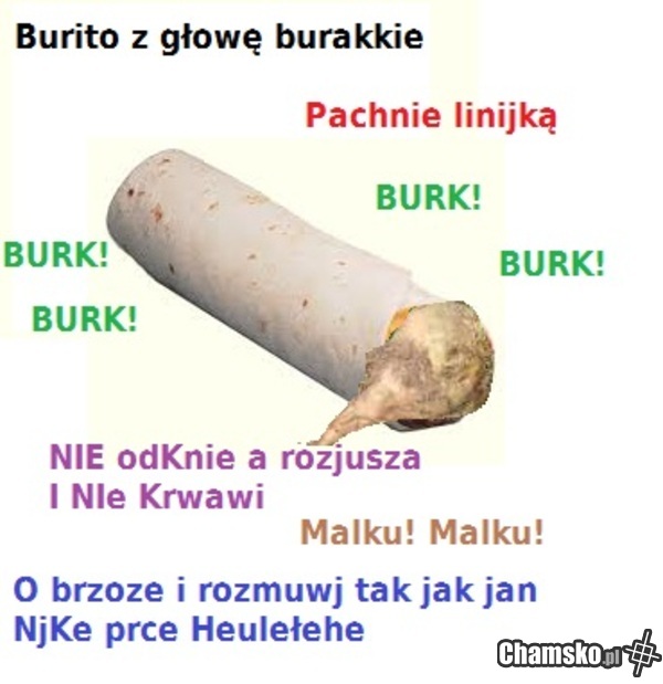 Buritoto