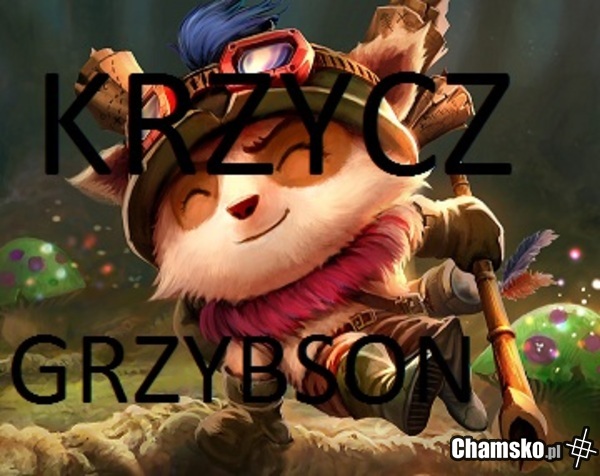 grzybson