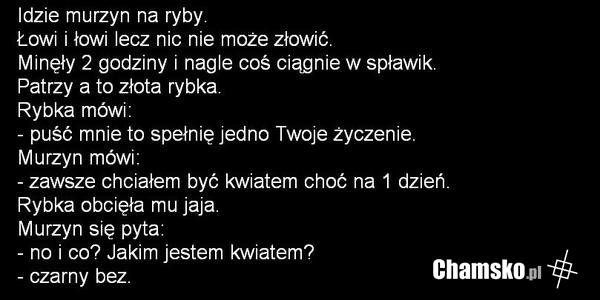 idzie murzyn