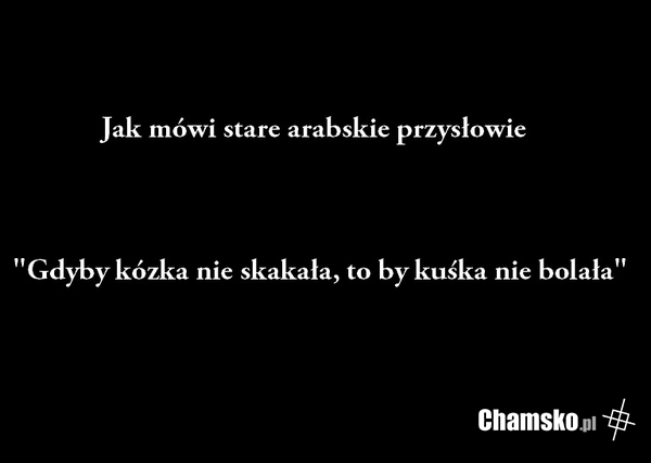 Arabskie przysłowie