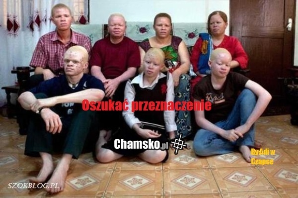 czo te czarnuchy?