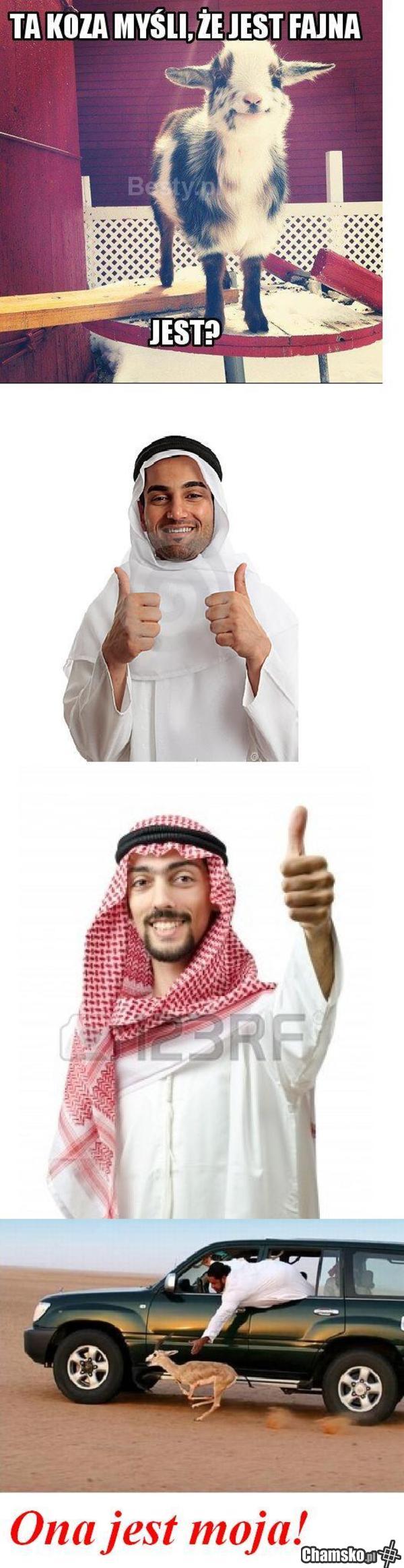 koza