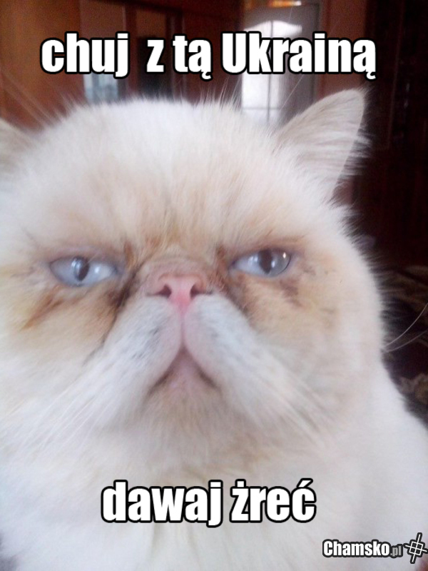 Polski grumpy