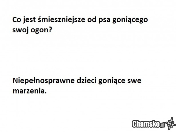 Zagadka