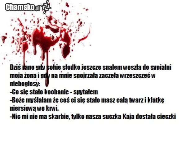 Przebudzenie