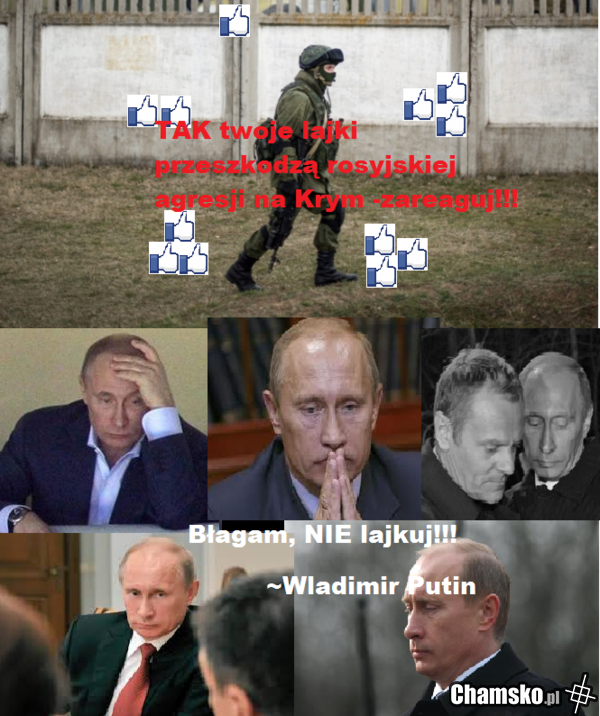 reaguj