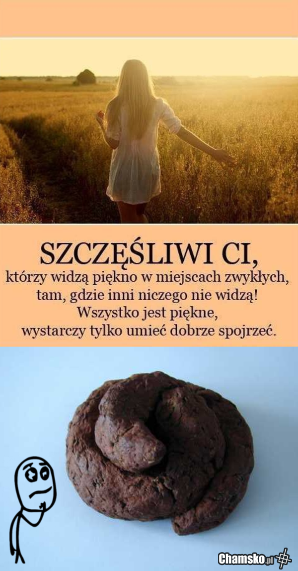 Wszystko jest piękne