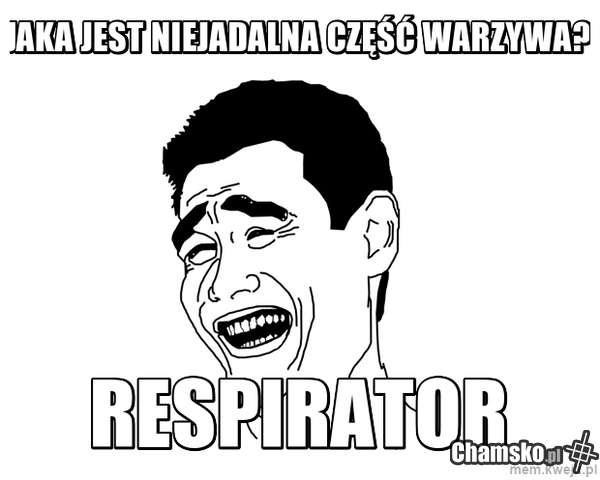 Warzywo