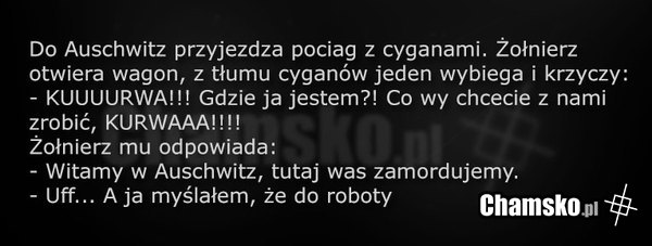 Cyganie w Auschwitz