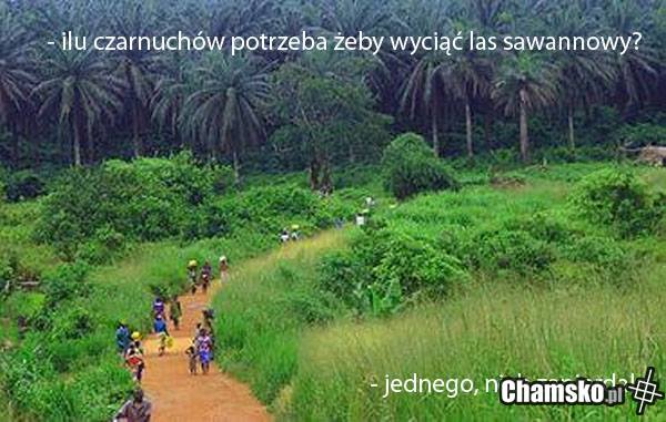 ile nygósów potrzeba ...