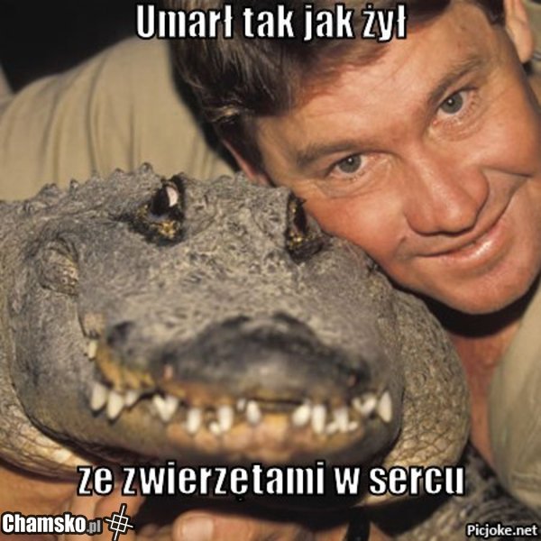 Stevee
