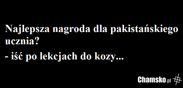 Nagroda dla ciapatego