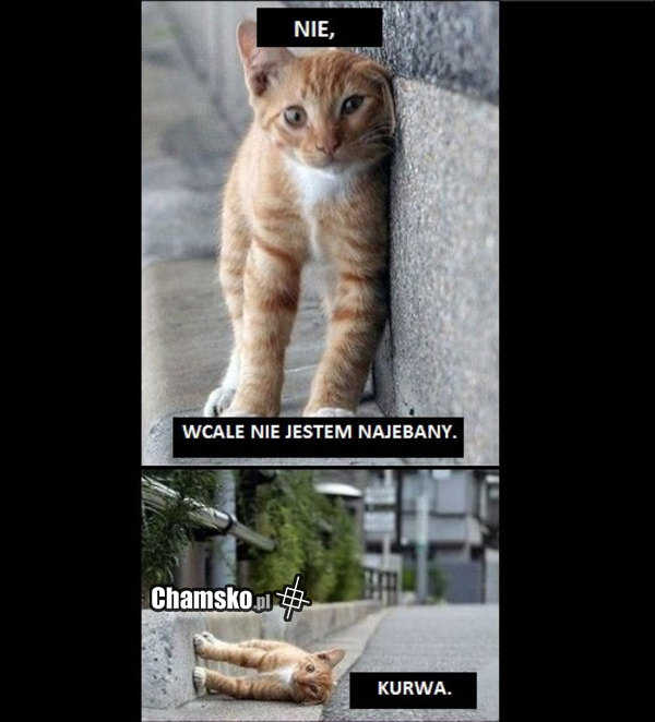 Najebany
