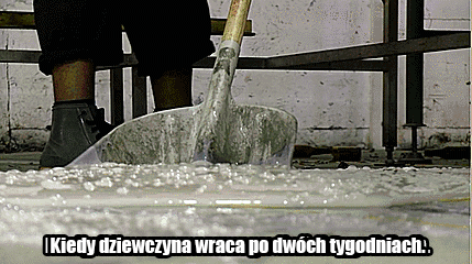 Po długiej nieobecności