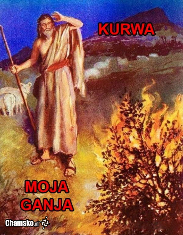 Ganja