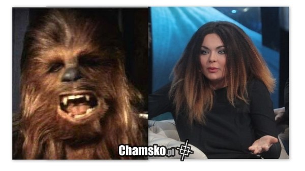 Przypadek?
