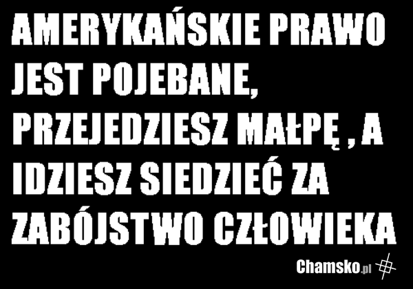 Absurdalne prawo