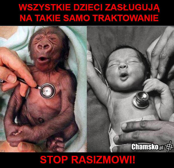 Stop rasizmowi